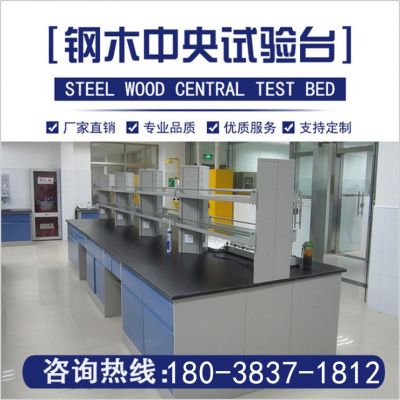 钢木中央试验台封面图4
