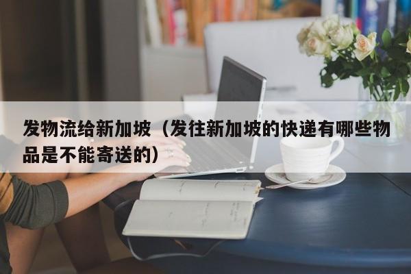 发物流给新加坡（发往新加坡的快递有哪些物品是不能寄送的）