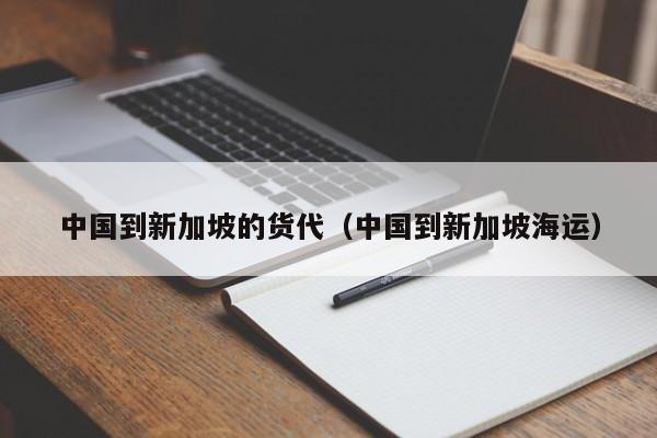 中国到新加坡的货代（中国到新加坡海运）