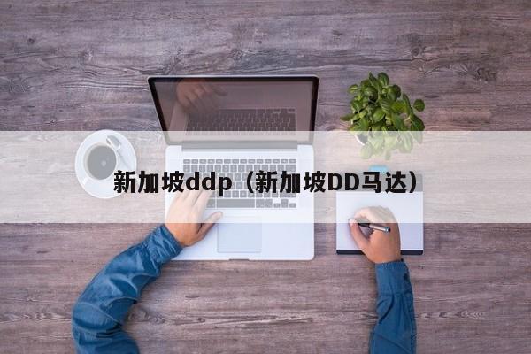 新加坡ddp（新加坡DD马达）