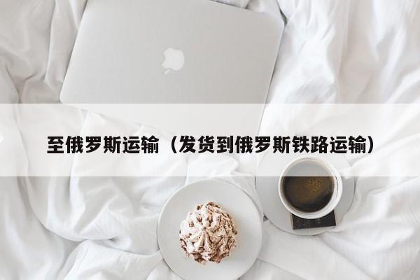 至俄罗斯运输（发货到俄罗斯铁路运输）