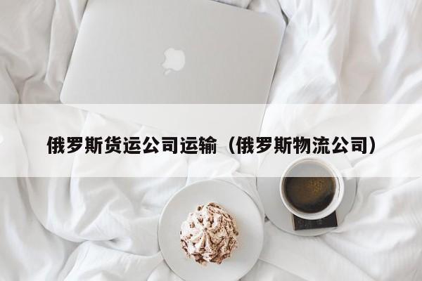 俄罗斯货运公司运输（俄罗斯物流公司）