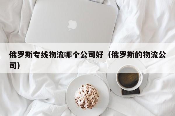 俄罗斯专线物流哪个公司好（俄罗斯的物流公司）