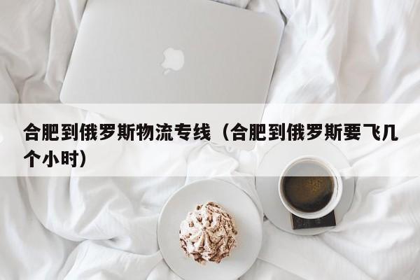 合肥到俄罗斯物流专线（合肥到俄罗斯要飞几个小时）