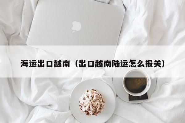 海运出口越南（出口越南陆运怎么报关）