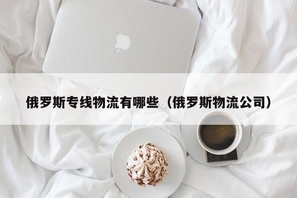 俄罗斯专线物流有哪些（俄罗斯物流公司）