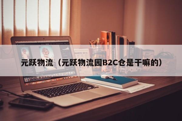 元跃物流（元跃物流园B2C仓是干嘛的）